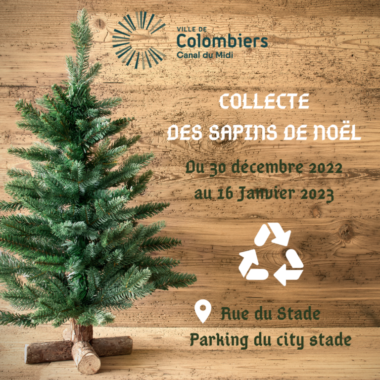 Après les fêtes, recyclez votre sapin de Noël à l'aire de déchets verts  d'Ollioules - Ville d'Ollioules