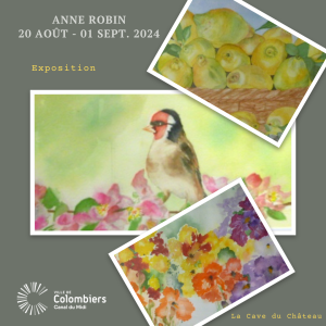 Anne ROBIN