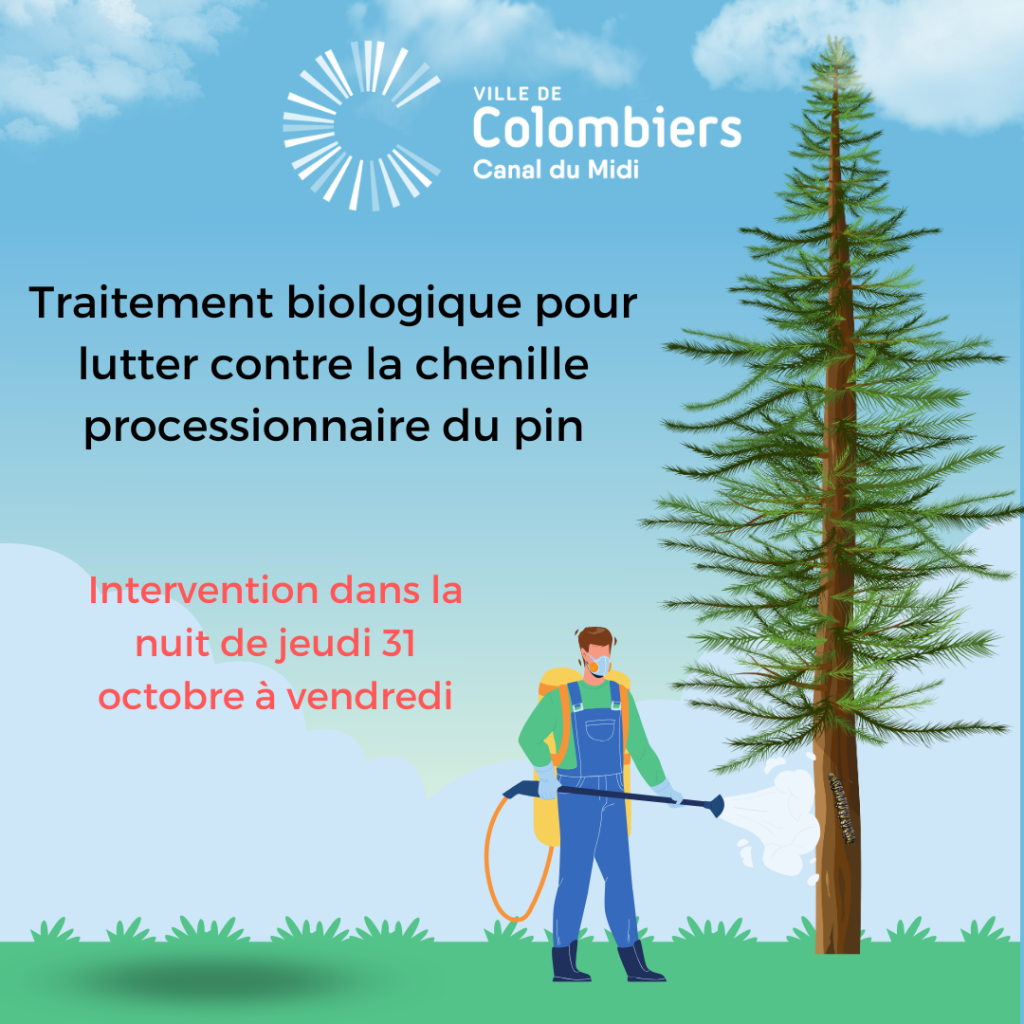 Traitement biologique pour lutter contre la chenille processionnaire du pin